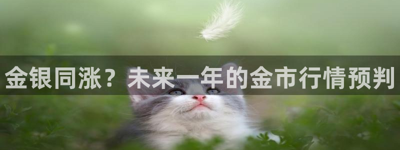 聚富通风设备：金银同涨？未来一年的金市行情预判