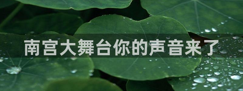 聚富人：南宫大舞台你的声音来了