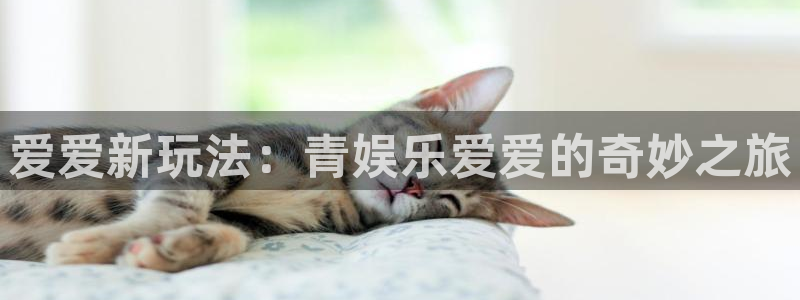 聚富财经：爱爱新玩法：青娱乐爱爱的奇妙之旅