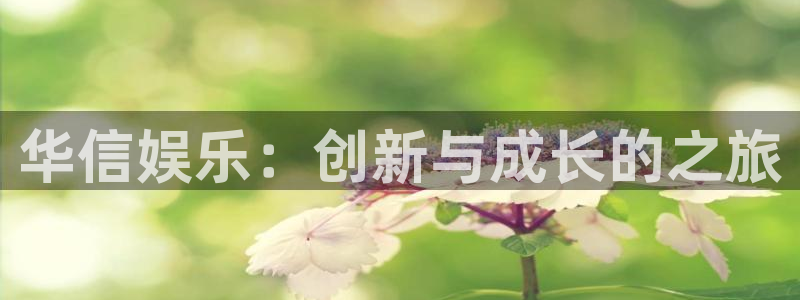 聚富蛙：华信娱乐：创新与成长的之旅
