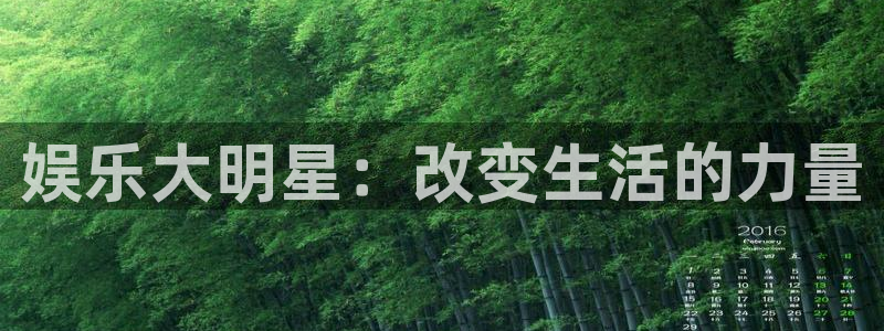 聚富企业：娱乐大明星：改变生活的力量
