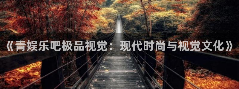 深圳市鸿聚富五金制品有限公司：《青娱乐吧极品视觉：现代时尚与视觉文化》