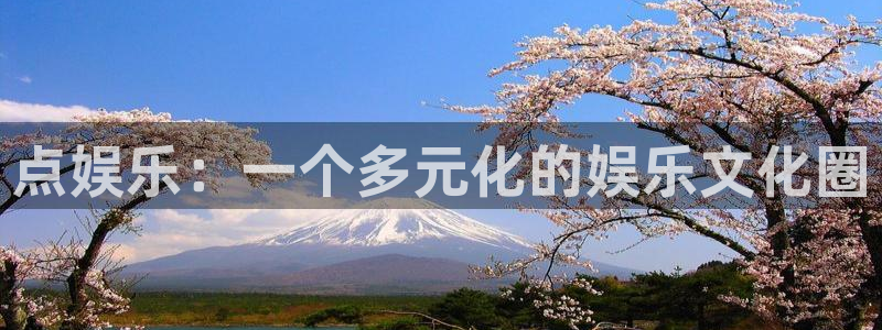 聚富宝袋：点娱乐：一个多元化的娱乐文化圈