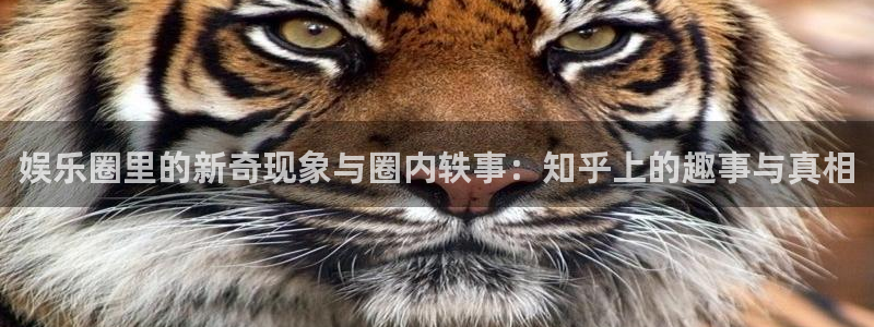 聚富联盟：娱乐圈里的新奇现象与圈内轶事：知乎上的趣事与真相
