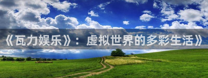 浙江聚富锡箔纸纸业有限公司：《瓦力娱乐》：虚拟世界的多彩生活》