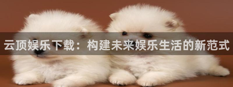 聚富6号年金保险万能型 收益：云顶娱乐下载：构建未来娱乐生活的新范式