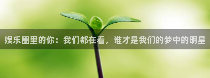 聚富汇：娱乐圈里的你：我们都在看，谁才是我们的梦中的明星