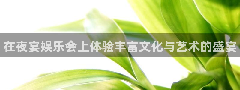 聚富蛙：在夜宴娱乐会上体验丰富文化与艺术的盛宴