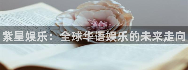聚富网站多少：紫星娱乐：全球华语娱乐的未来走向