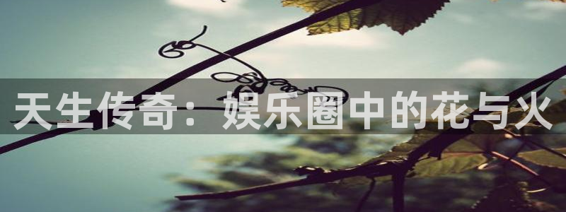工银聚富：天生传奇：娱乐圈中的花与火