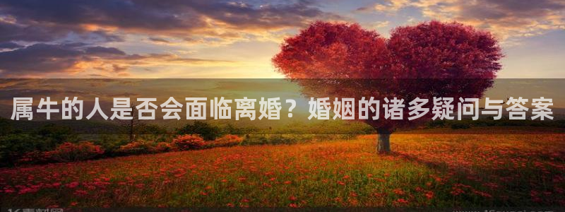 聚富通第三方支付