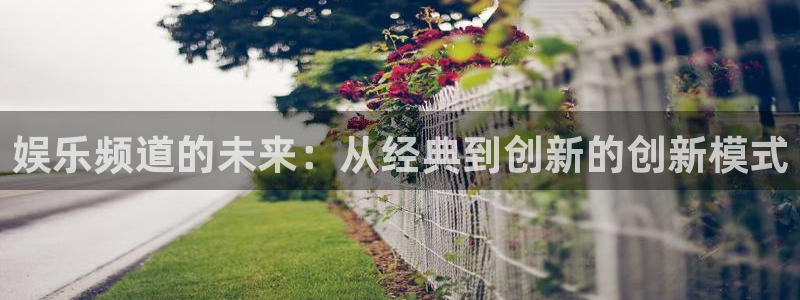 聚富网络科技有限公司：娱乐频道的未来：从经典到创新的创新模式
