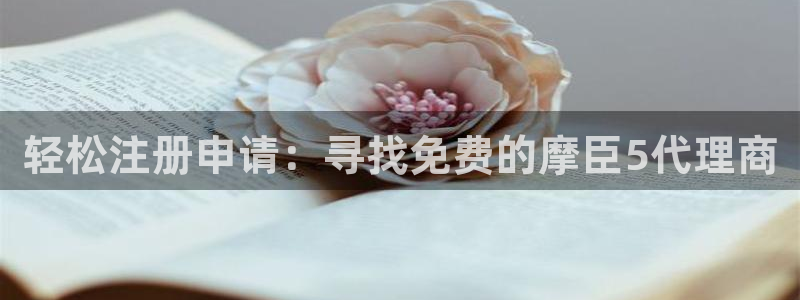 工银聚富有风险吗：轻松注册申请：寻找免费的摩臣5代理商