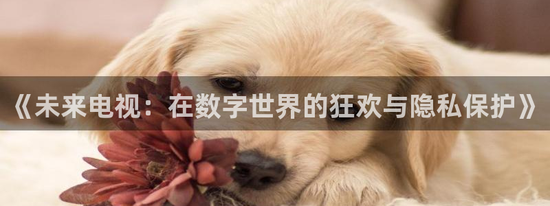 东莞常平镇聚富花园：《未来电视：在数字世界的狂欢与隐私保护》