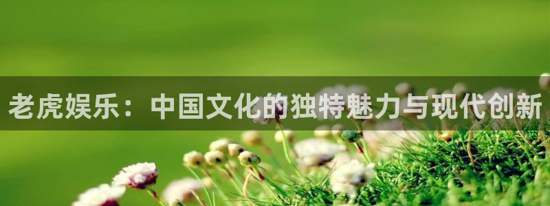浙江聚富锡箔纸业有限公司：老虎娱乐：中国文化的独特魅力与现代创新