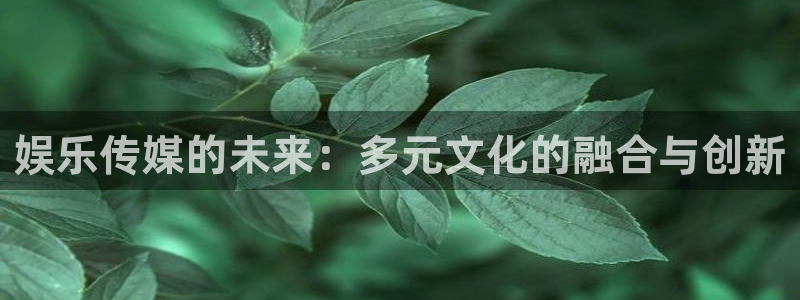 聚富楼：娱乐传媒的未来：多元文化的融合与创新