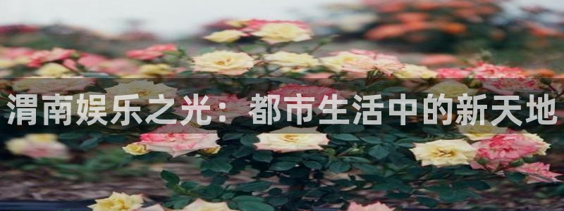 工银聚富通：渭南娱乐之光：都市生活中的新天地