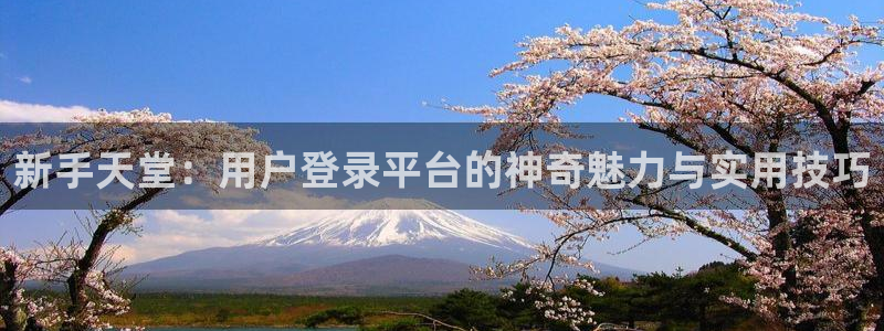 环球聚富：新手天堂：用户登录平台的神奇魅力与实用技巧