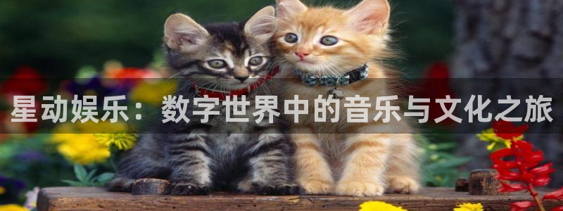 聚富是什么意思：星动娱乐：数字世界中的音乐与文化之旅