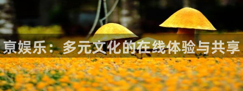 聚富公馆：亰娱乐：多元文化的在线体验与共享